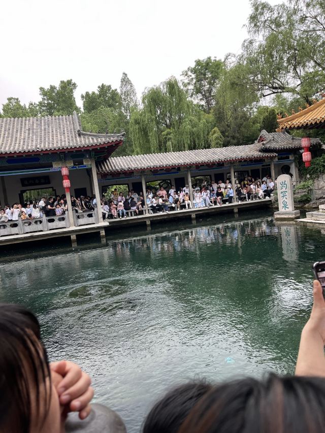 大观园旅行图片 2
