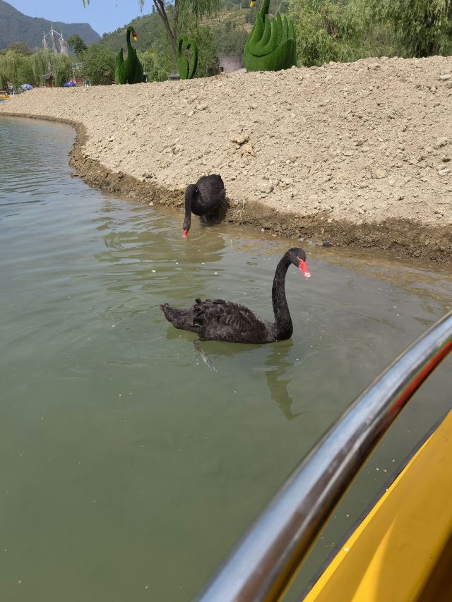 秦巴古韵后柳水乡旅行图片 3