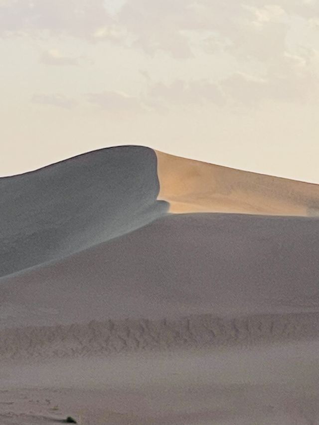 沙漠雕塑公园旅行图片 10