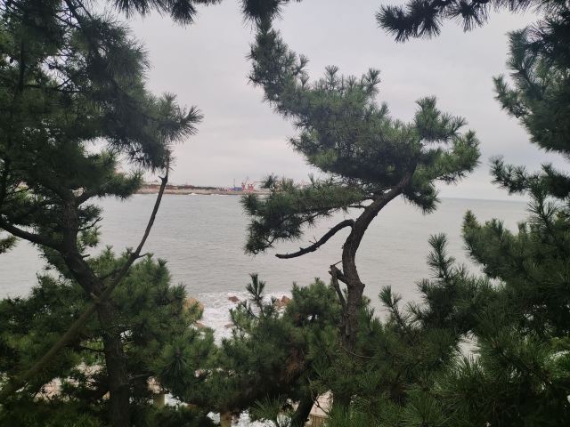石岛公园旅行图片 3