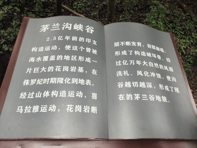 茅兰沟国家森林公园(暂停开放)旅行图片 8