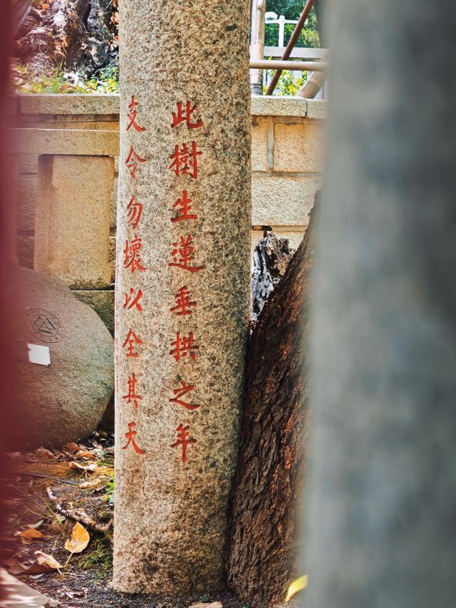 泉州古城旅行图片 3