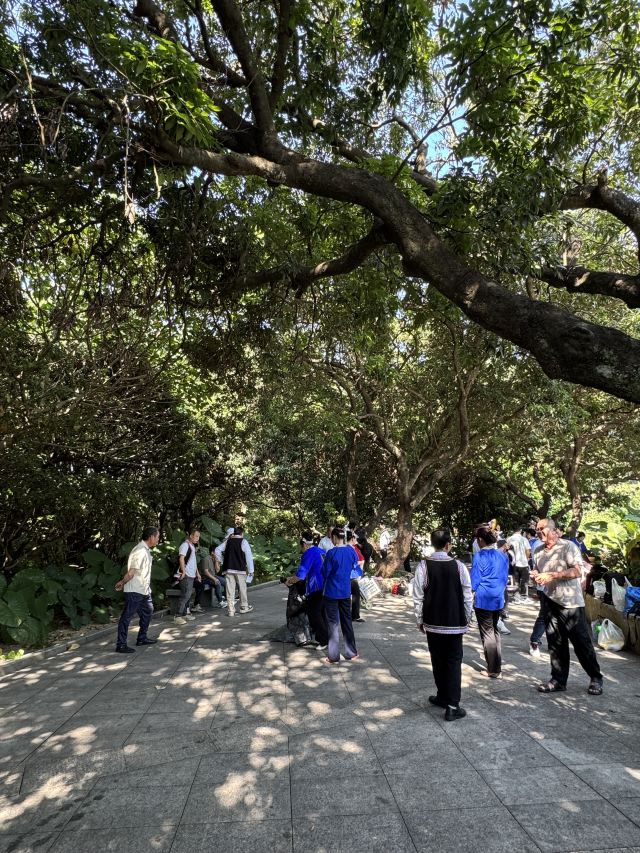 中山公园旅行图片 3