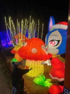 胶州市植物园-胶州-潇洒1哥