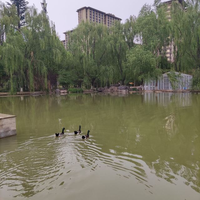 西局玉璞园旅行图片 12