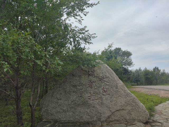 蒙望敖包山稻田公园旅行图片 8