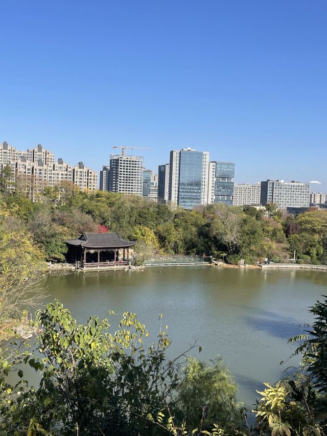 彭城广场旅行图片 10