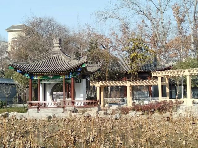 莲湖公园旅行图片 2