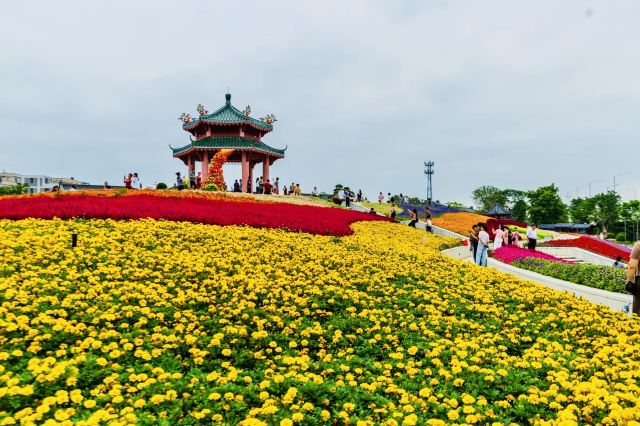 潮人公园旅行图片 2