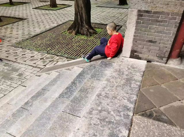 岱庙旅行图片 5