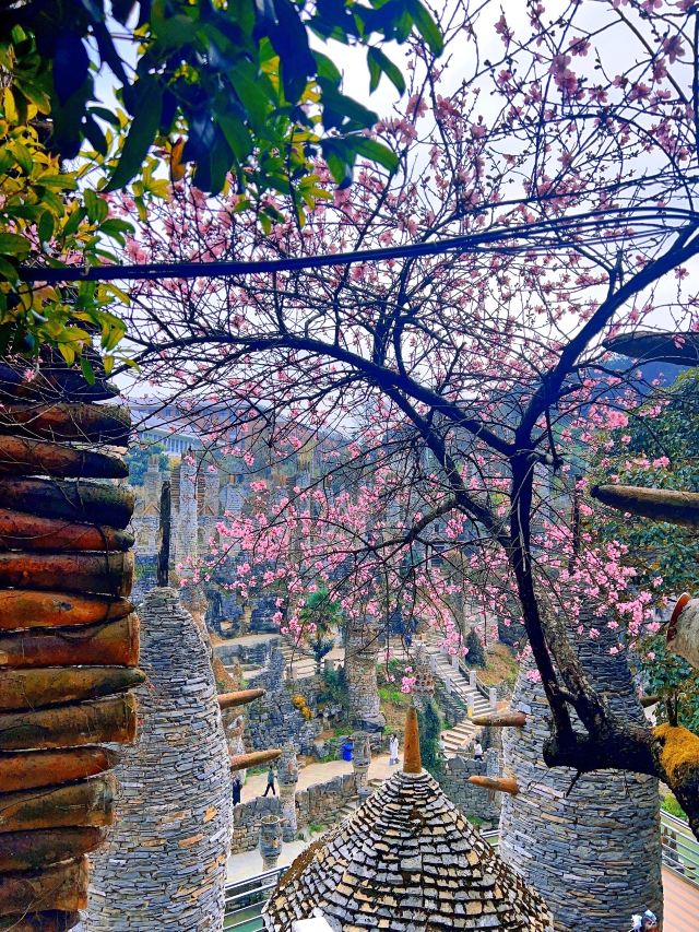 花溪夜郎谷旅行图片 4