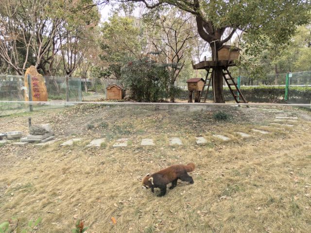 中国春秋淹城旅游区旅行图片 2