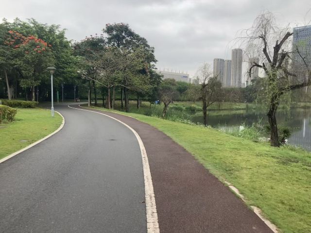 碧湖生态公园旅行图片 7