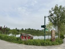 阿克苏多浪河国家湿地公园-阿克苏市-gdzhcyf6898