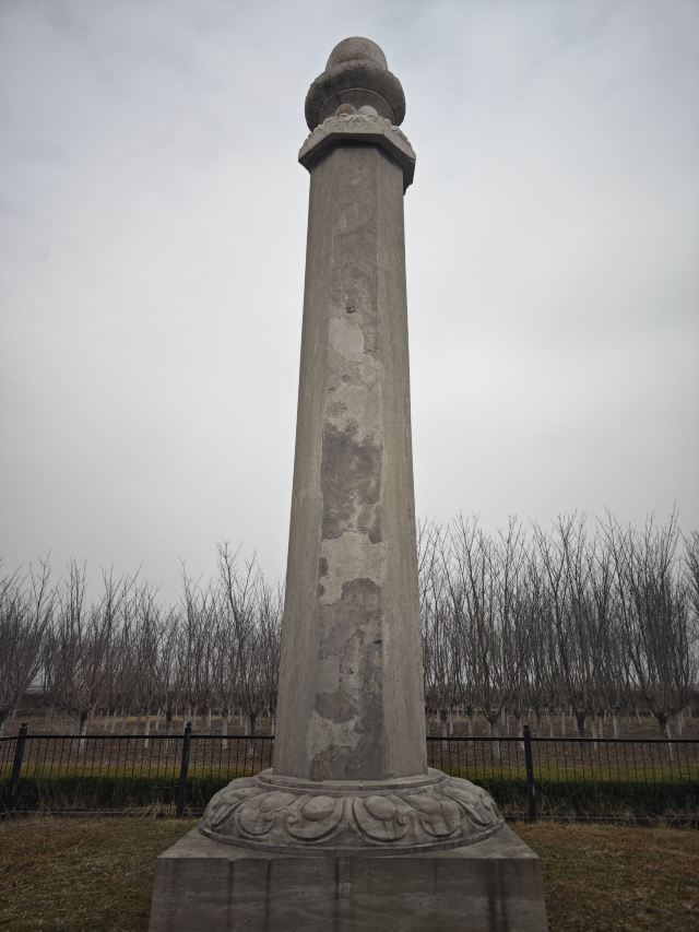 唐顺陵-遗址公园旅行图片 4