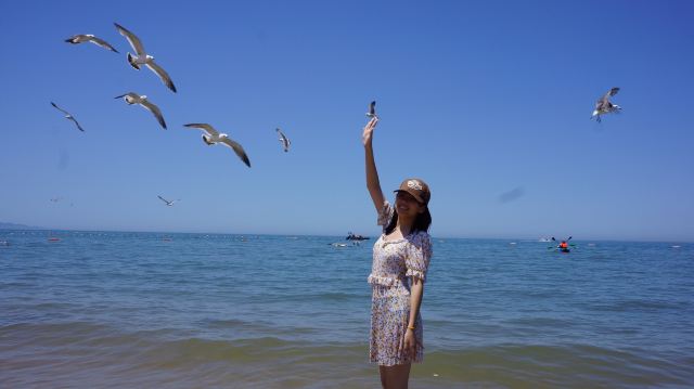 布鲁威斯号搁浅巨轮旅行图片 2