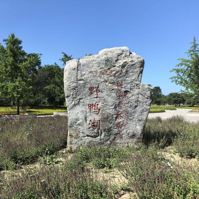 野鸭湖国家湿地公园旅行图片 4