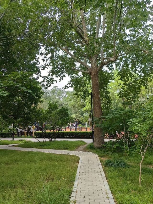 凤凰山公园旅行图片 8