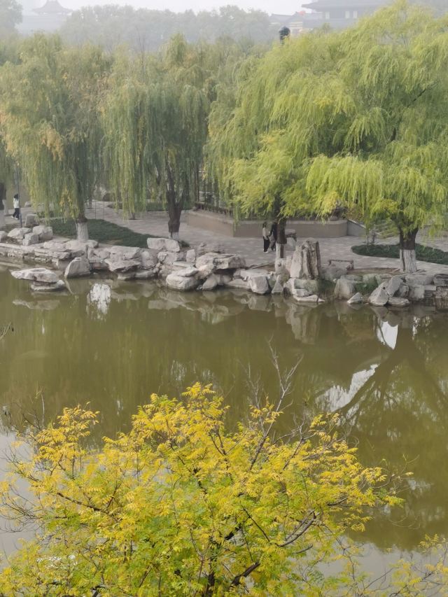 丛台公园旅行图片 6
