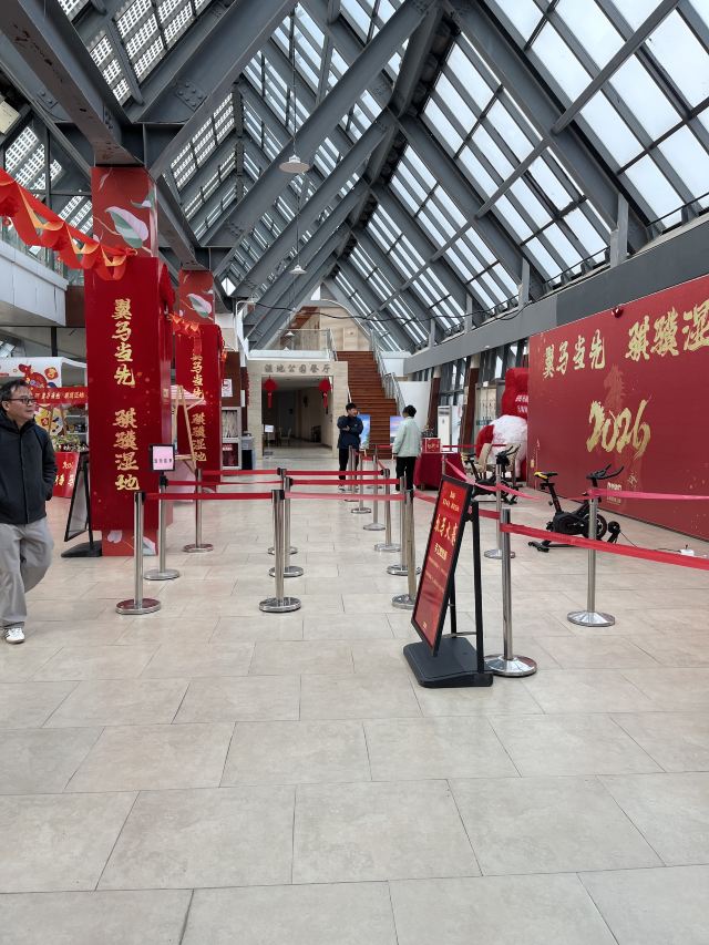 上海东滩湿地公园旅行图片 1