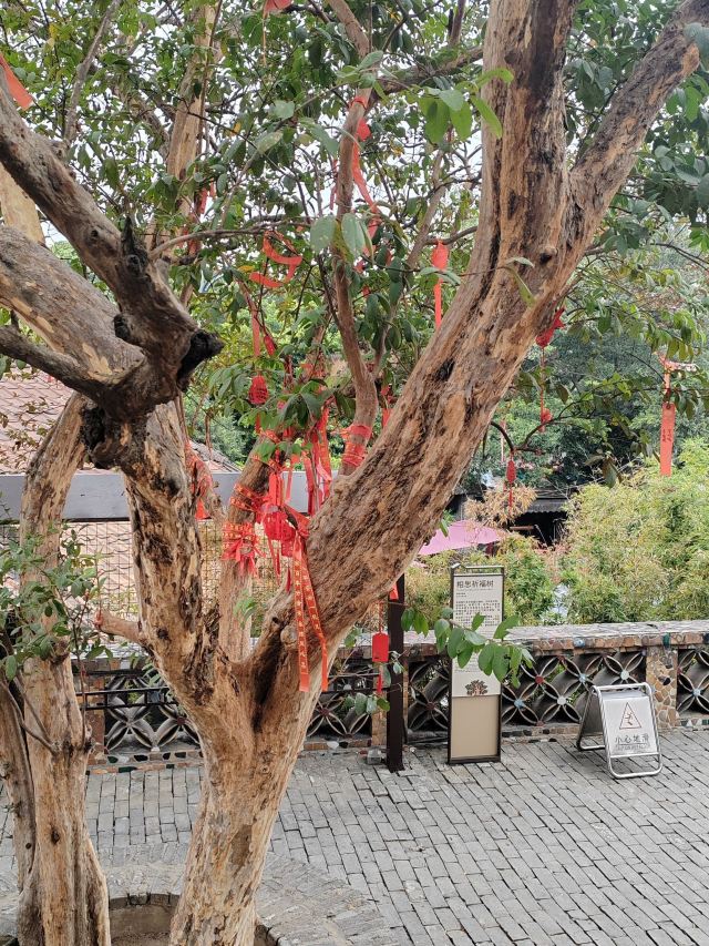 南风古灶旅行图片 1