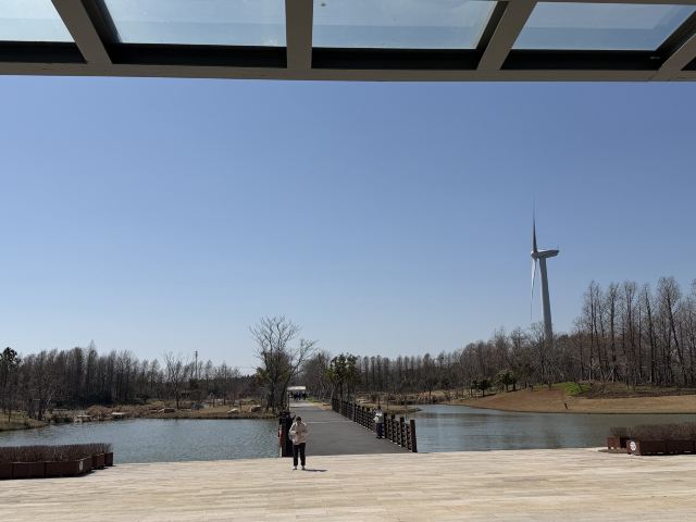 上海东滩湿地公园旅行图片 2
