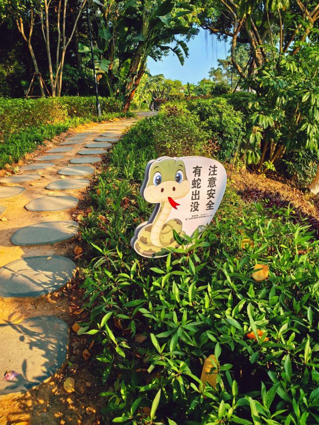 仙岳公园旅行图片 6