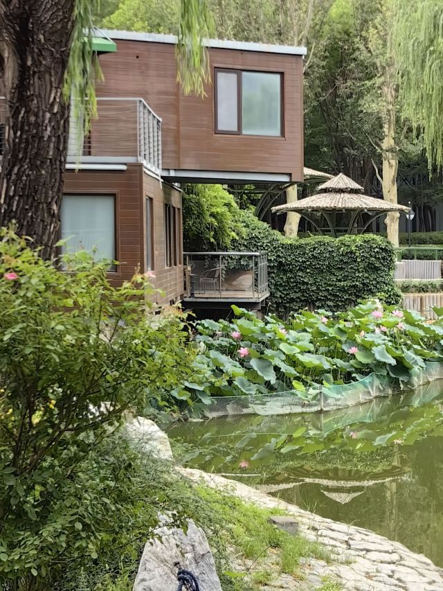 丽都花园旅行图片 4