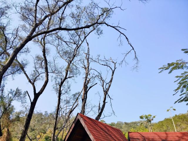大轮山公园旅行图片 4