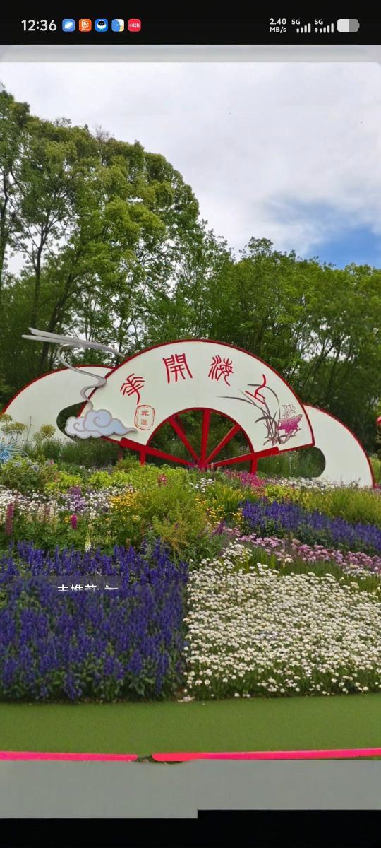 上海共青森林公园旅行图片 3