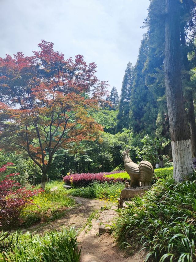 芦花荡公园-园门旅行图片 9