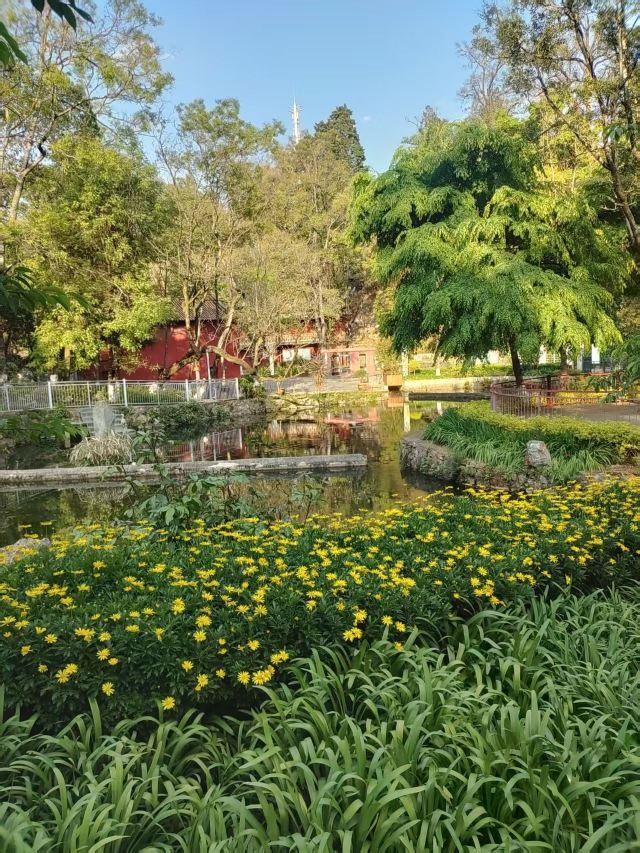 玉溪九龙池古建筑群-九龙宫旅行图片 1