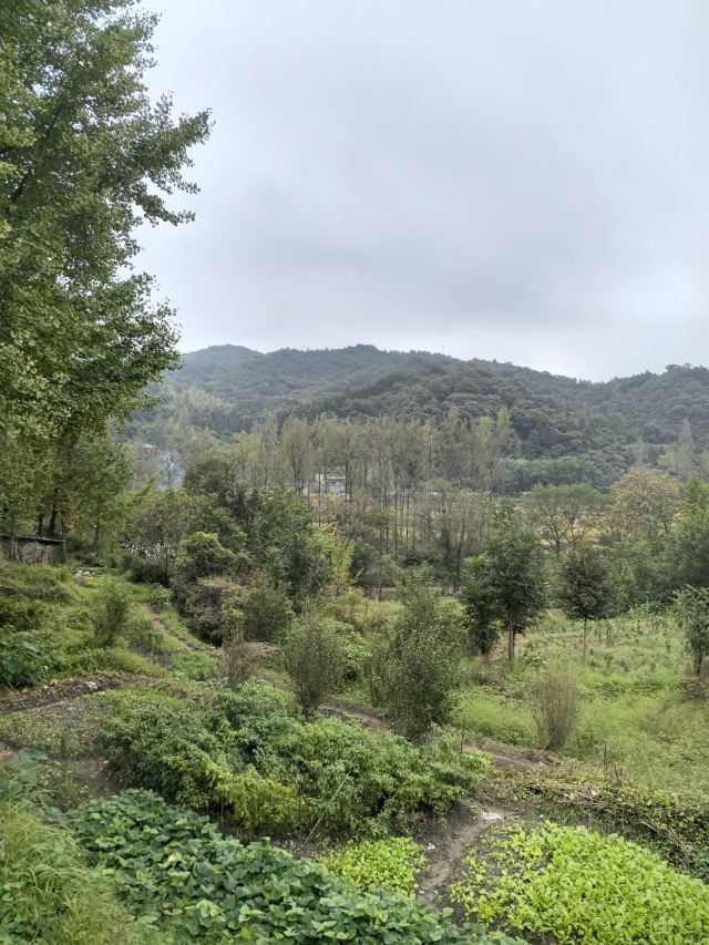 西河古村落景区旅行图片 5