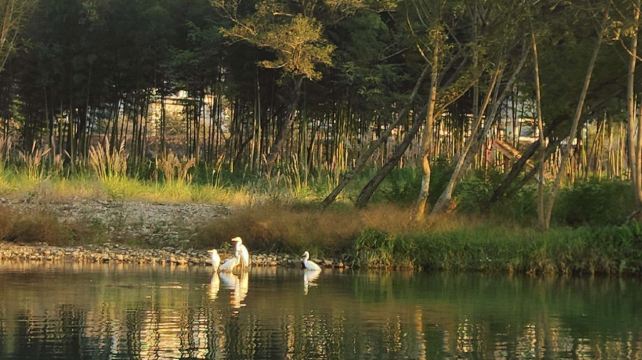 楠溪江景沙岗西优村竹筏漂流