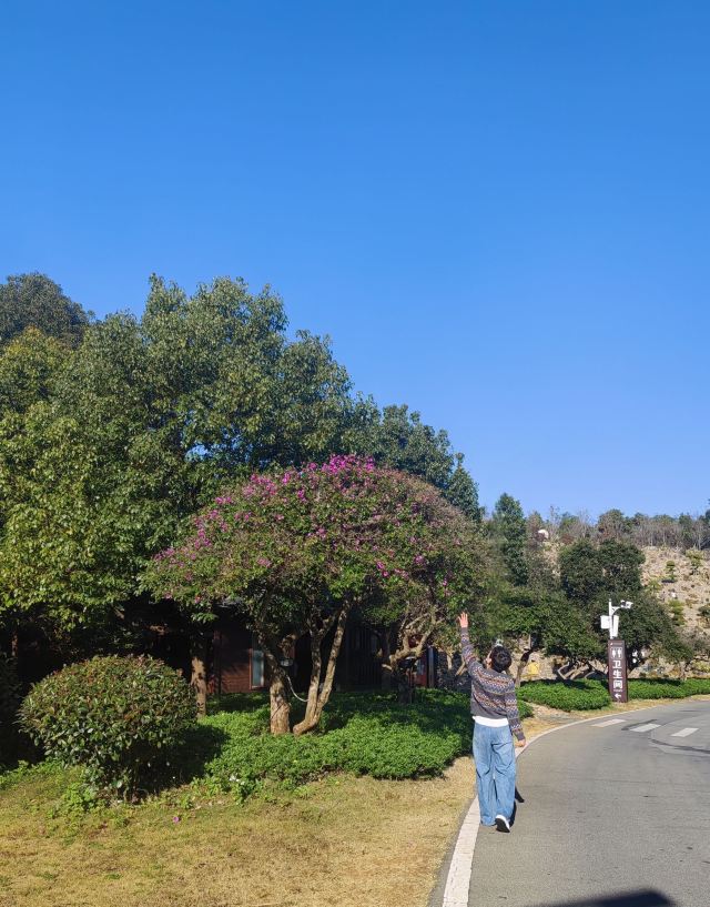 太平湖森林公园旅行图片 1