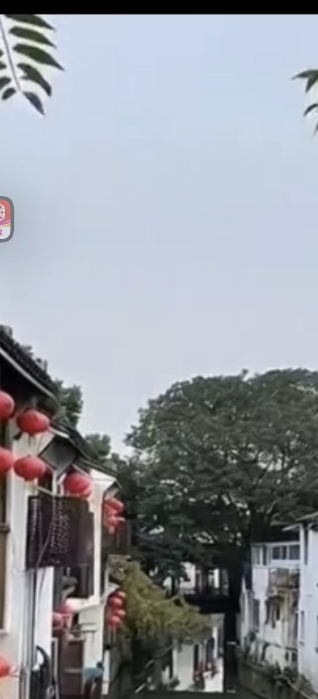 山塘街旅行图片 2