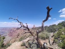 大峡谷公园瞭望塔-科科尼诺县-YoYo_1B8T1V4S