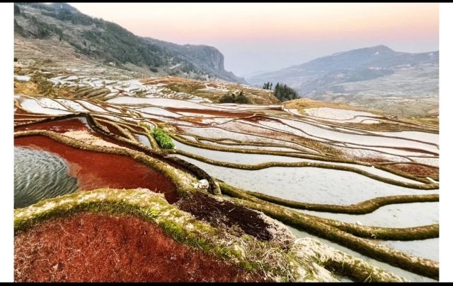 新山梯田旅行图片 2