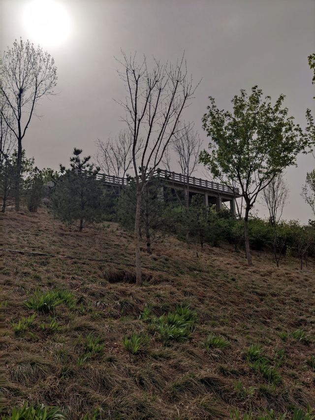 南苑森林湿地公园旅行图片 7