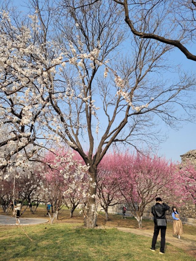北京明城墙遗址公园旅行图片 8