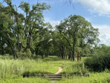 渤海国上京龙泉府宫城遗址-宁安-水漫三楼
