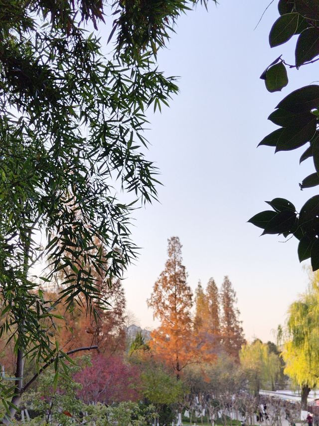 莫愁湖公园旅行图片 2