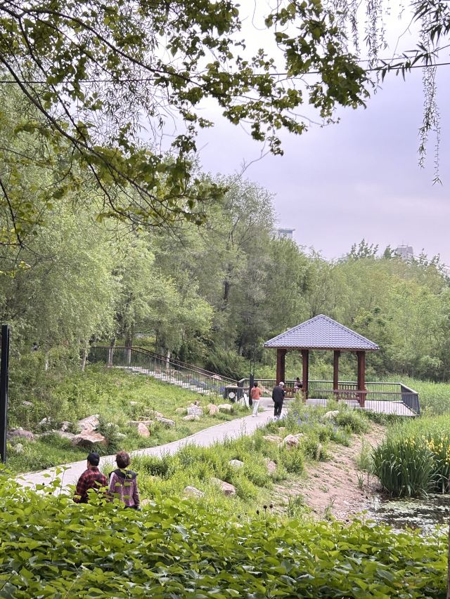 皇姑北塔公园旅行图片 9