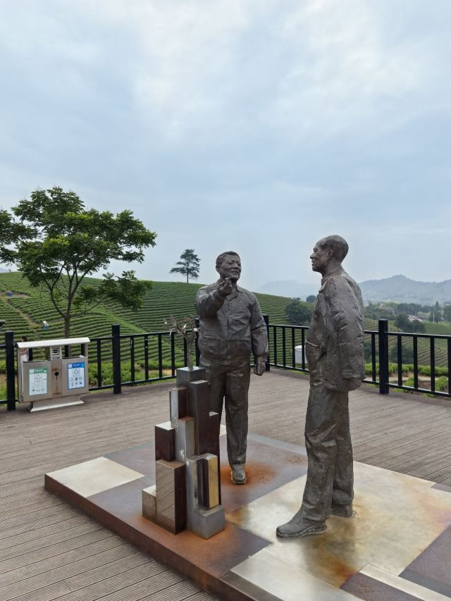 白茶原·安吉白茶观景平台旅行图片 4