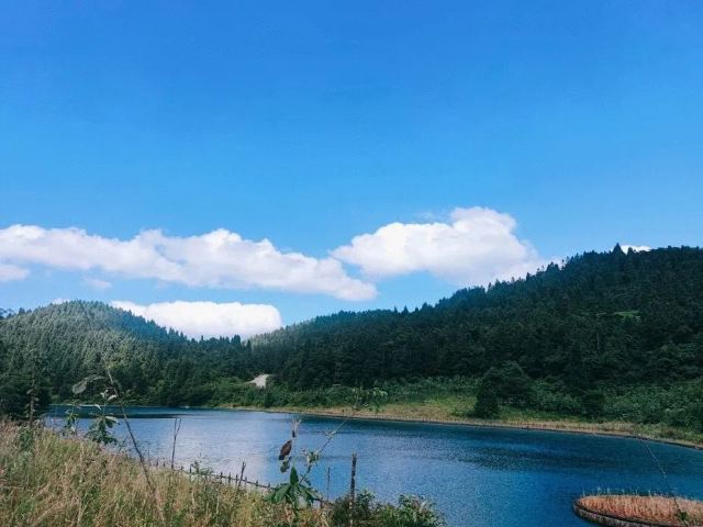 武陵山国家森林公园旅行图片 2