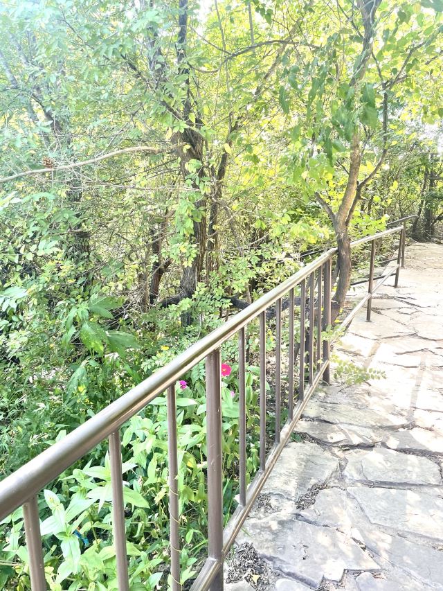 人参谷森林公园旅行图片 7