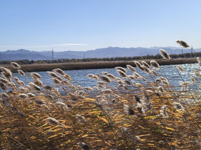 野鸭湖国家湿地公园旅行图片 4