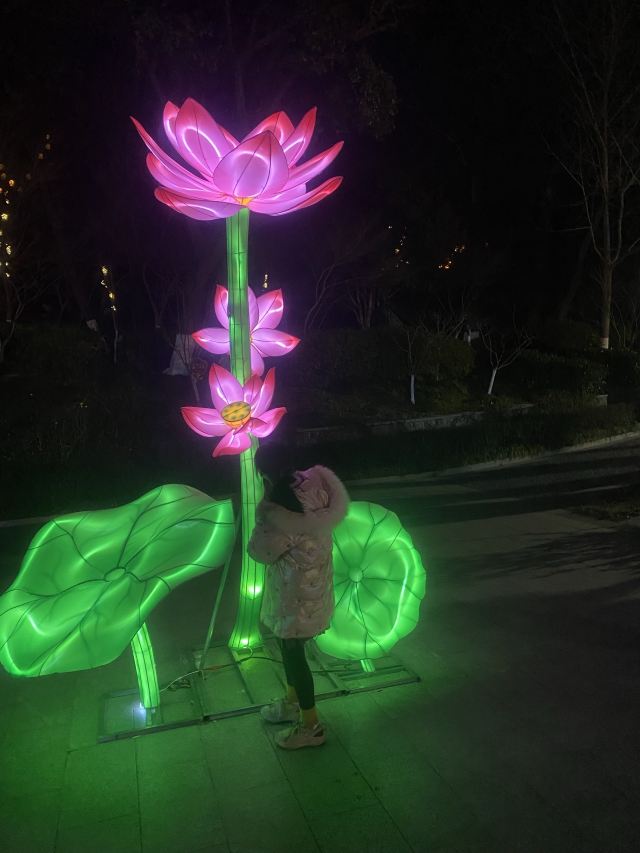 栖霞山风景名胜区旅行图片 1
