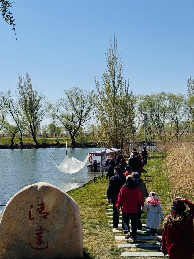 白洋淀望月岛5号农家院