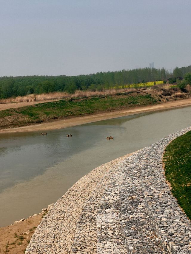 泾渭分明观景台旅行图片 3